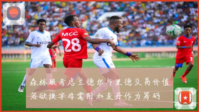 森林狼考虑兰德尔与里德交易价值若欲换字母需附加麦丹作为筹码