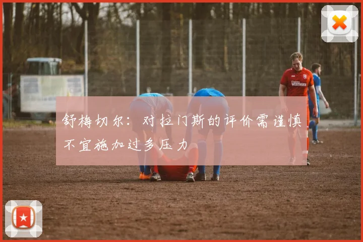 舒梅切尔：对拉门斯的评价需谨慎不宜施加过多压力